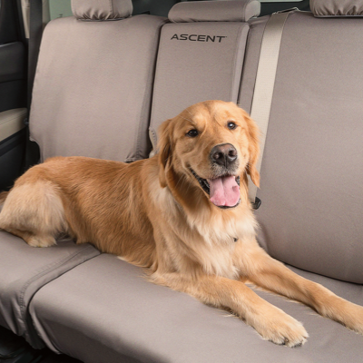 2025 Pet-friendly Accessories Brochure