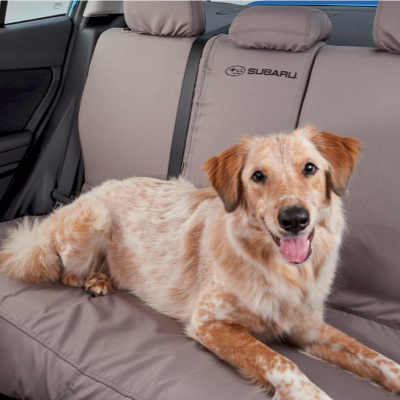 2025 Pet-friendly Accessories Brochure