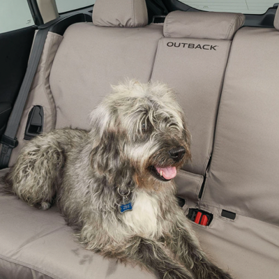 2025 Pet-friendly Accessories Brochure